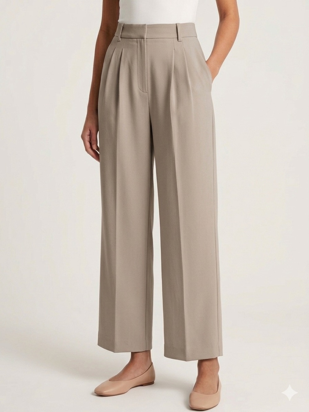 Abercrombie Sloane Tailored Wide Leg Pant Light Taupe 6S Quiet Luxury Minimalist
